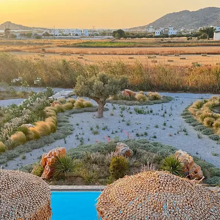 Kastraki Gems Option With Swimming Pool Apartment Kastraki (Naxos)
